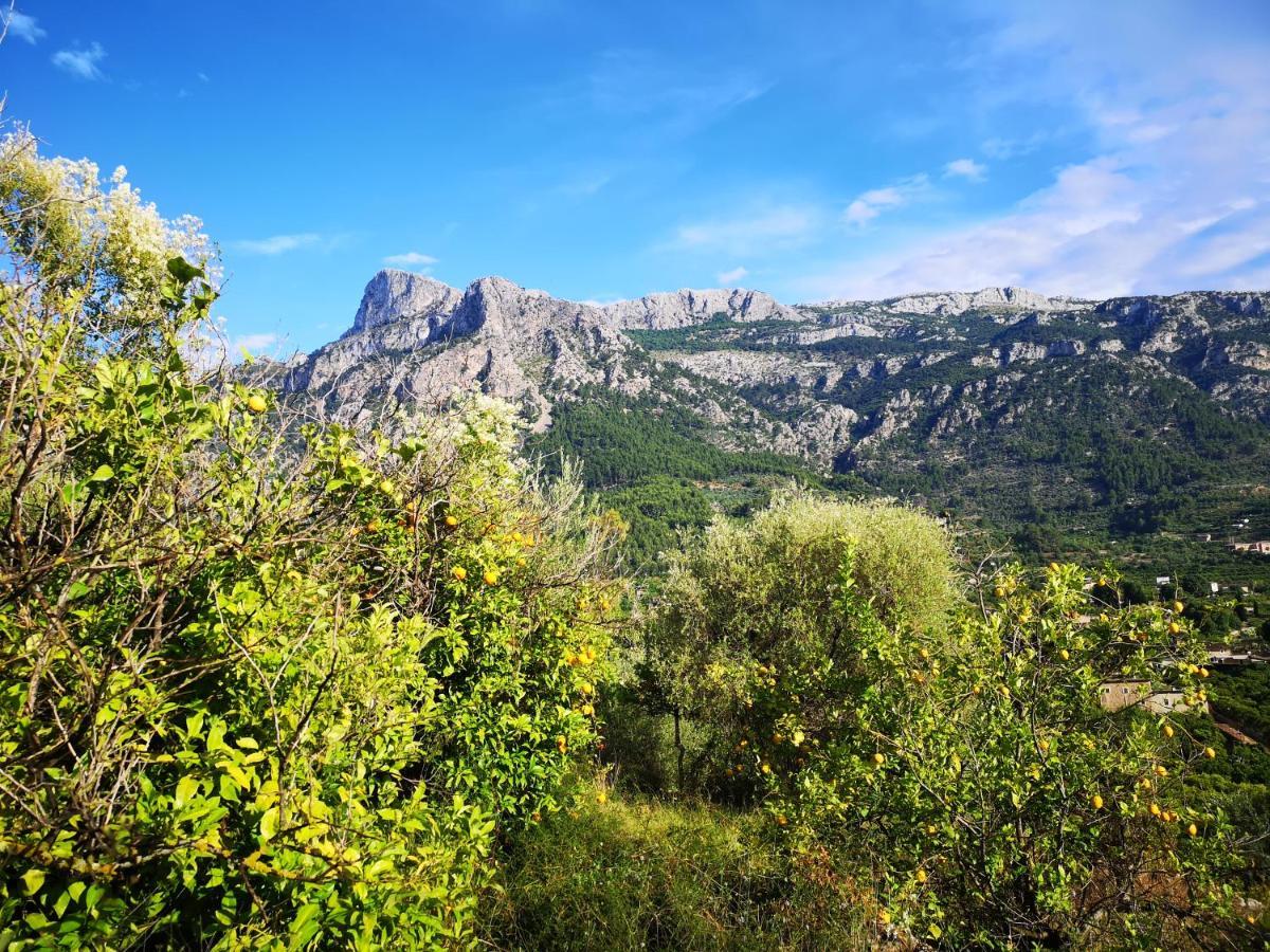 Villa Ideal Sóller Exteriör bild